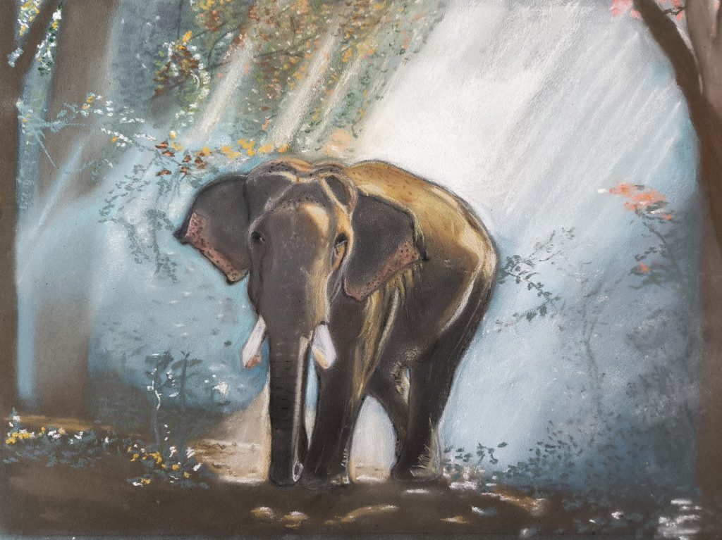 nature et effets de lumière
